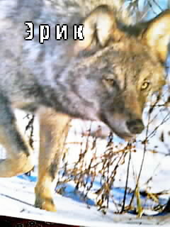 Открытки с именем Эрик скачать бесплатно. С днём рождения Эрик открытки.