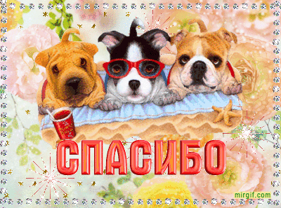 Красивые открытки с благодарностью. Открытки с надписью спасибо.