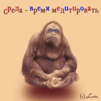 Открытки на среду скачать. Открытки на среду с пожеланиями бесплатно.