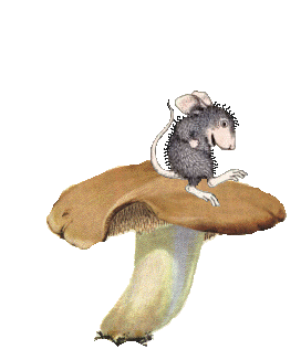 Открытки с лесными грибами скачать бесплатно. Открытки с грибами онлайн.