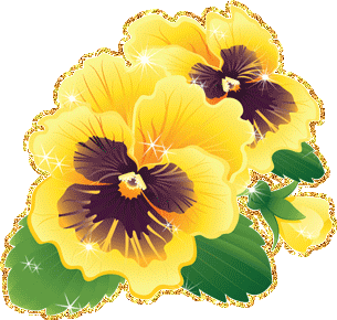 Открытки с разноцветными анютиными глазками скачать бесплатно.