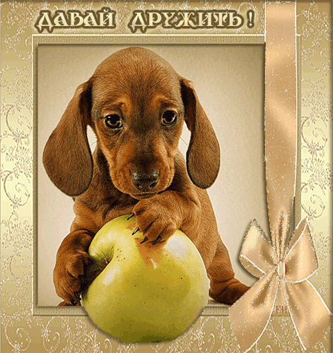 Открытки давай мириться с анимациями. Открытки давай мириться скачать бесплатно