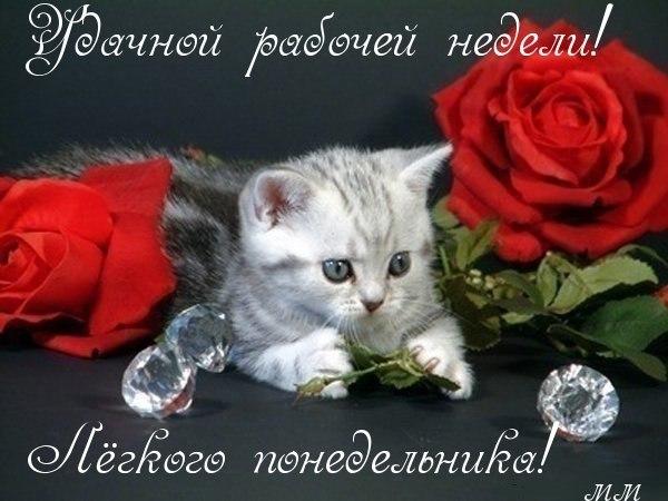 Открытки на понедельник скачать. Открытки на понедельник бесплатно.