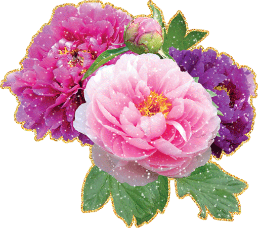 Открытки с розовыми пионами скачать бесплатно. Открытки с розовыми пионами он...