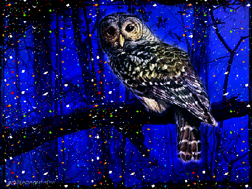 Открытки с совами скачать. Открытки с совами бесплатно онлайн.