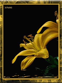 Открытки с желтыми лилиями gif. Открытки с желтыми лилиями скачать.