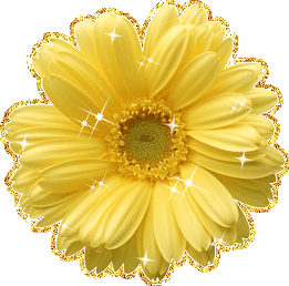 Открытки с герберами скачать бесплатно. Открытки с герберами gif.