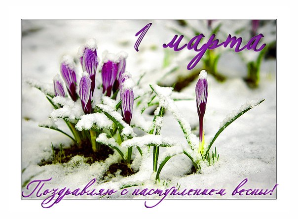 Открытки с первым днём весны скачать бесплатно. Открытки с первым днём весны ...