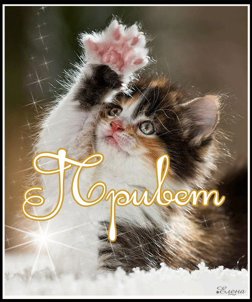  Скачать  красивые  Открытки с  приветствием  бесплатно gif.