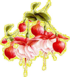 Анимационные открытки с фуксией. Открытки с фуксией скачать бесплатно.