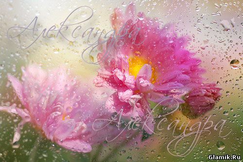 Открытки с именем Александра скачать бесплатно. Поздравительные открытки с им...