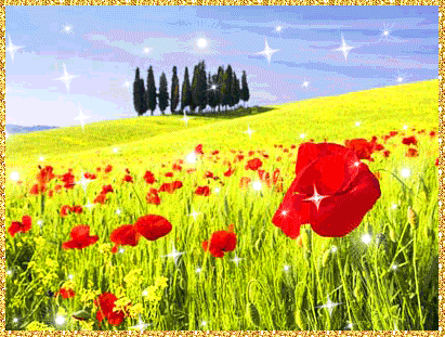 Открытки с маковым полем скачать бесплатно. Открытки с маковым полем онлайн.