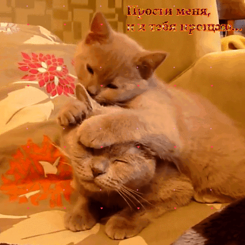 Скачать бесплатно Открытки с Прощеным Воскресеньем с анимациями.