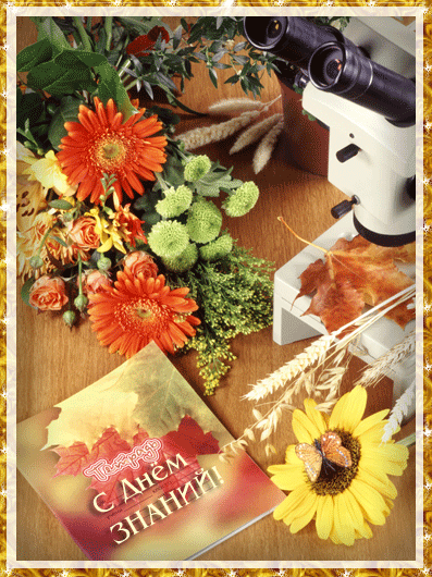 Скачать бесплатные Открытки на 1 сентября с  анимациями gif.