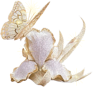 Открытки с белыми орхидеями скачать. Открытки с белыми орхидеями бесплатно он...