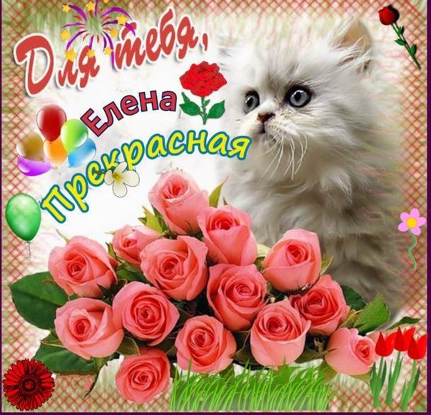 Открытки с именем Елена с анимациями. С днём рождения Елена открытки.