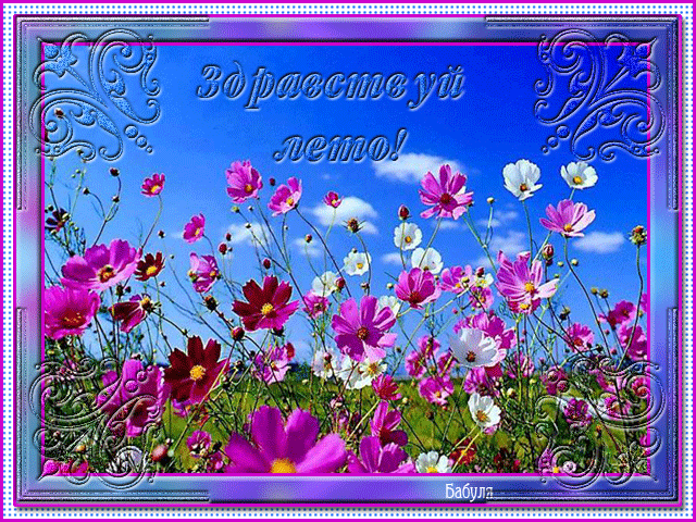 Красивые открытки лето. Скачать бесплатно открытки лето gif.