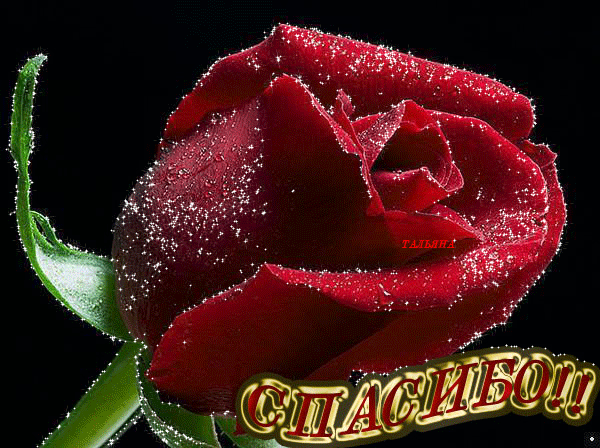 Красивые открытки с благодарностью. Открытки с надписью спасибо.