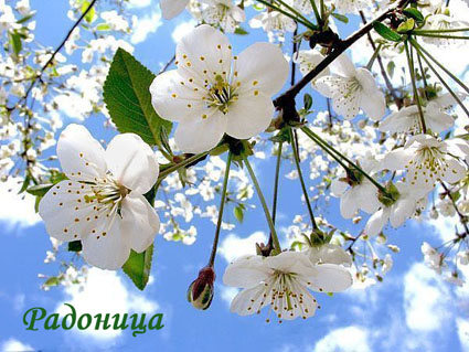 Открытки с Родоницей скачать бесплатно. Открытки с Родоницей с пожеланиями.