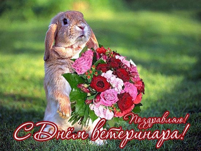 Открытки с Международным днём ветеринара скачать бесплатно.