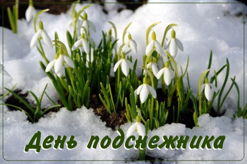 Открытки с днём подснежника gif. Открытки с днём подснежника скачать.