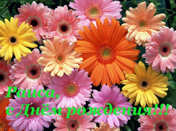 Открытки с именем Раиса скачать бесплатно. Открытки с именем Раиса ко дню рож...