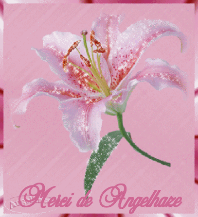 Открытки с розовыми лилиями скачать бесплатно. Открытки с розовыми лилиями ан...