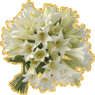 Открытки с букетом нарциссов анимационные. Открытки с букетом нарциссов gif.