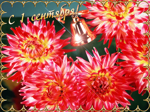 Скачать бесплатные Открытки на 1 сентября с  анимациями gif.