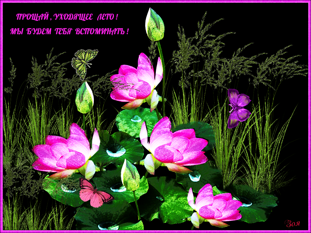 Красивые открытки лето. Скачать бесплатно открытки лето gif.