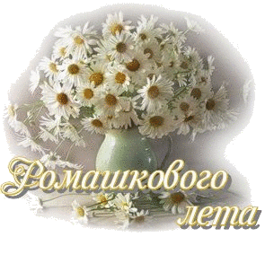 Открытки с букетом ромашек скачать бесплатно. Открытки с букетом ромашек онлайн.