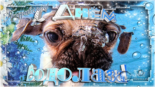 Открытки с днём водолаза скачать. Открытки с днём водолаза бесплатно.