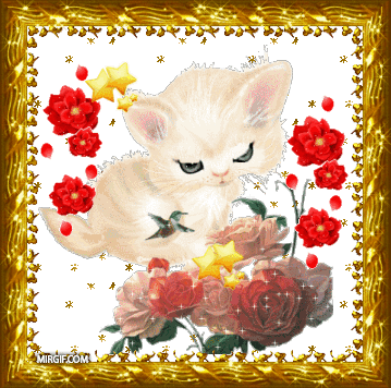 Открытки с кошками скачать бесплатно. Анимационные открытки с кошками.
