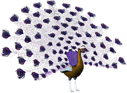 Открытки с павлинами скачать бесплатно. Открытки с павлинами gif.