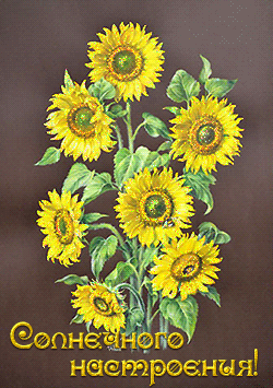 Открытки с подсолнухами скачать бесплатно. Открытки с подсолнухами gif.