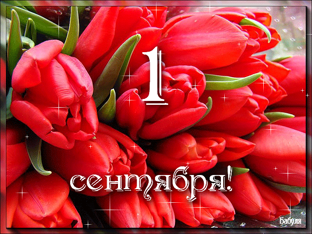 Скачать бесплатные Открытки на 1 сентября с  анимациями gif.