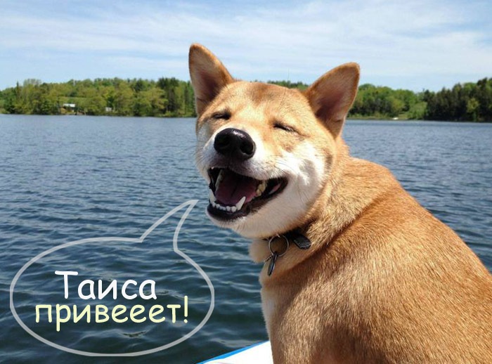 Открытки с именем Таисия скачать бесплатно. Открытки с именем Тася.