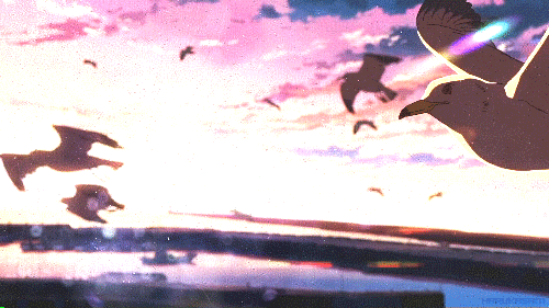 Открытки с парящими в небе птицами скачать бесплатно. Открытки с парящими в н...