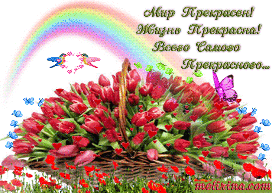 Открытки с тюльпанами в корзине скачать бесплатно. Открытки с тюльпанами в ко...