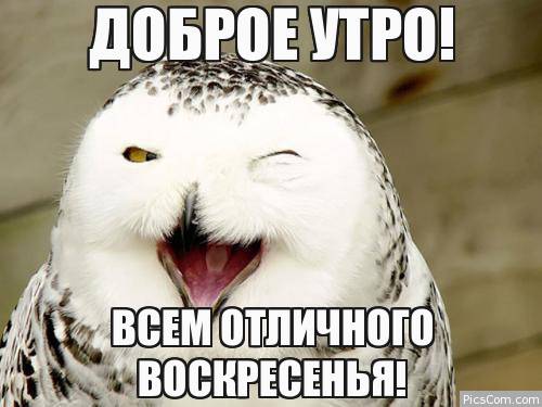 Открытки на воскресенье скачать. Открытки на воскресенье бесплатно.