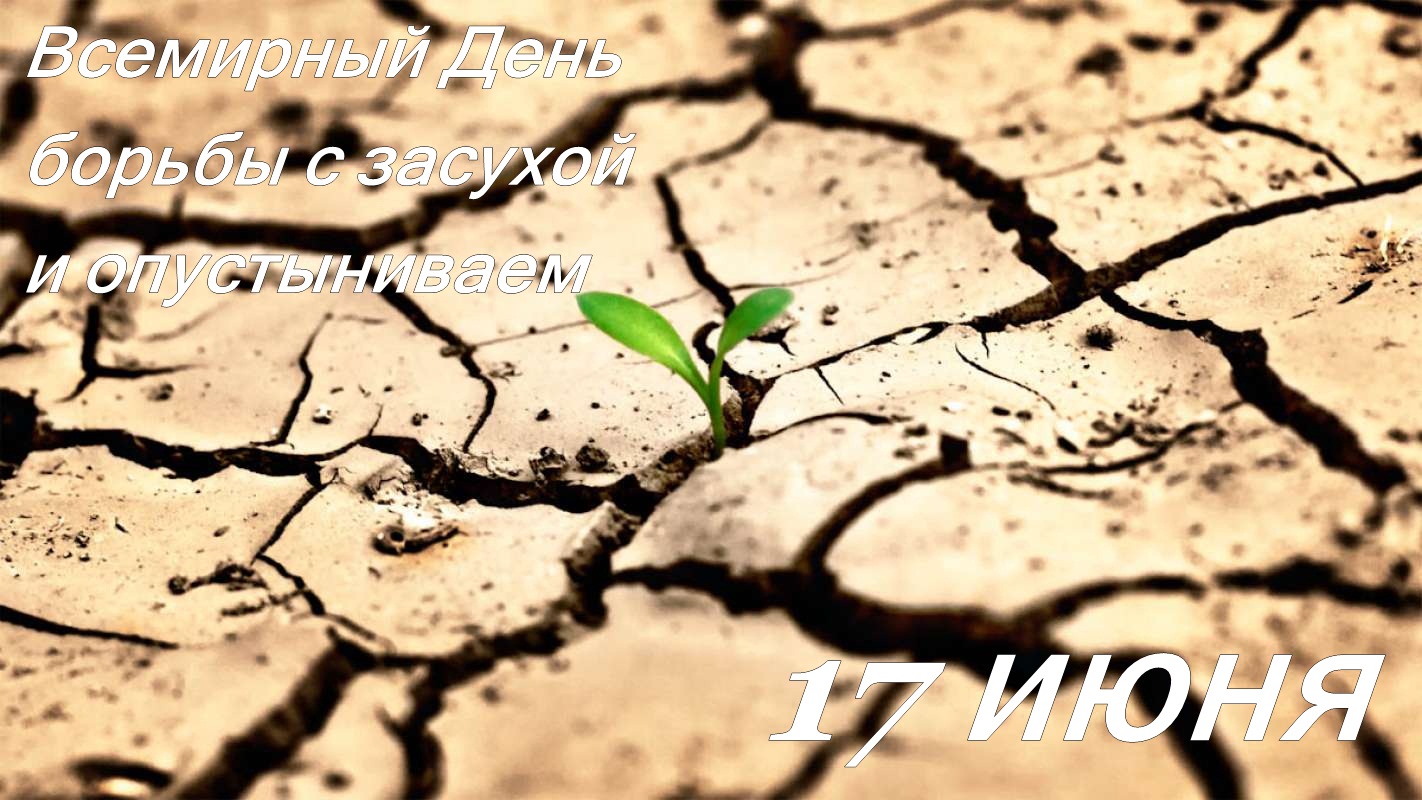 Открытки со Всемирным днём борьбы с засухой и опустыниванием.