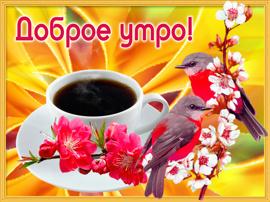 Открытки на каждый день с пожеланием доброго утра. Скачать открытки бесплатно.