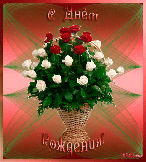 Открытки с розами в корзине скачать бесплатно. Открытки с розами в корзине gif.