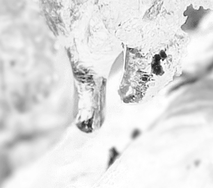 Открытки с сосульками скачать бесплатно. Открытки с сосульками gif.