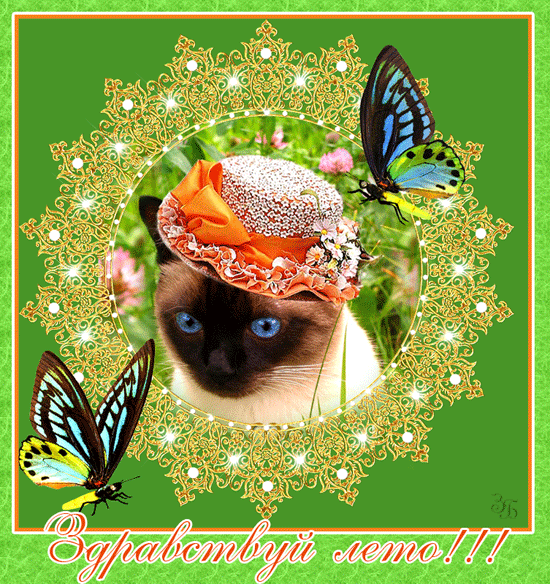 Скачать открытки хорошего лета. Анимационные открытки с пожеланиями.