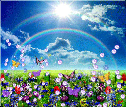 Скачать Фото Лето