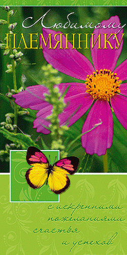 Открытки с днём рождения племяннику с пожеланиями скачать бесплатно.