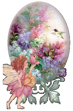 Открытки с колибри скачать бесплатно. Открытки с колибри онлайн.