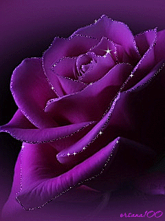 Открытки с фиолетовыми розами скачать бесплатно. Открытки с фиолетовыми розам...