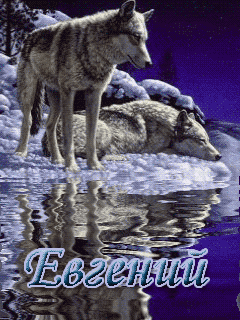 Открытки с именем Евгений gif. Открытки с днём рождения Женя.